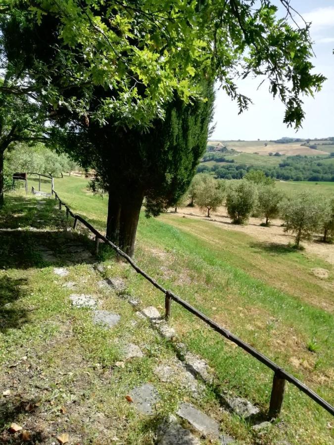 Agriturismo Podere Cherzo Cinigiano Exterior photo