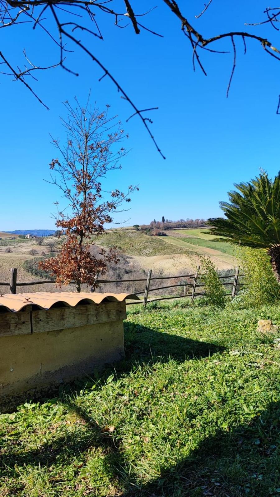 Agriturismo Podere Cherzo Cinigiano Exterior photo